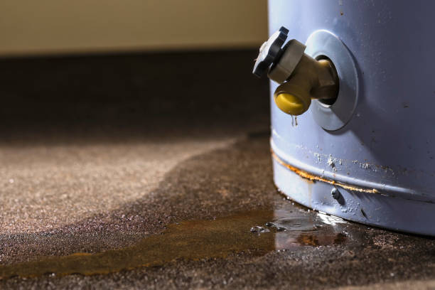 Best Basement water damage restoration  in Combes, TX