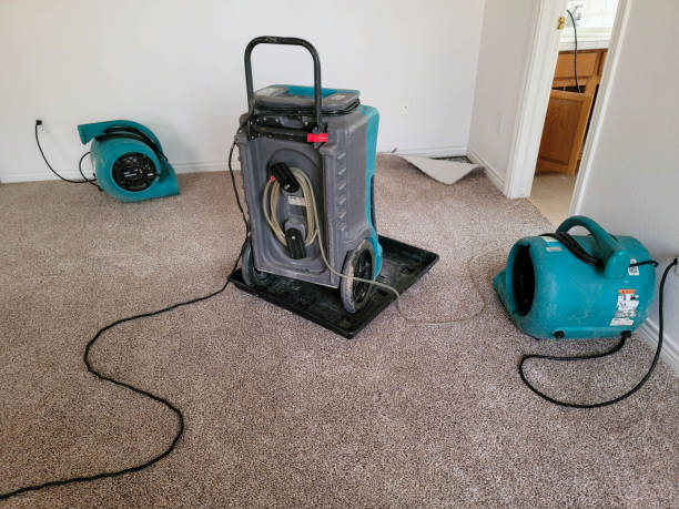 Best Water damage contractors near me  in Combes, TX