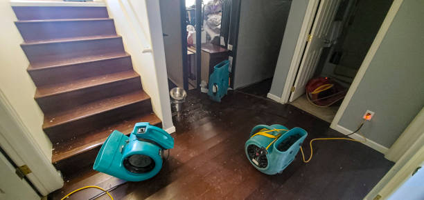 Best Flooded house restoration  in Combes, TX