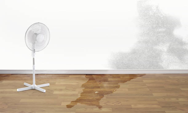 Best Emergency water damage restoration  in Combes, TX