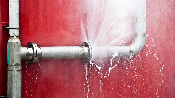 Best Flood restoration services  in Combes, TX